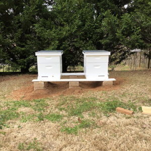 Photo of two white beehives