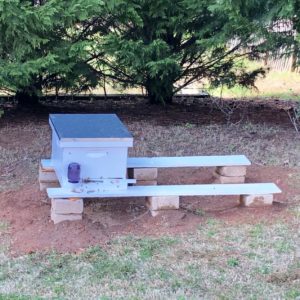 Photo of one honeybee super box, on boards resting on stones off the ground