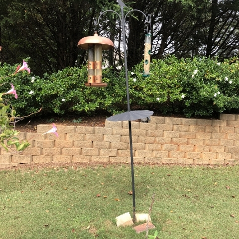 4x4 post diy bird feeder pole