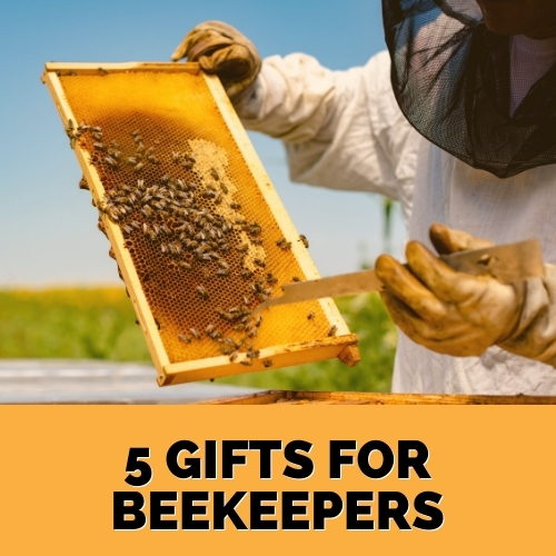photo of beekeeper inspecting hive as part of a list of gifts for new beekeepers