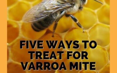 Five Varroa Mite Treatments